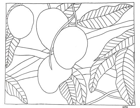mangoes   tree downloadable  printable colouring page etsy