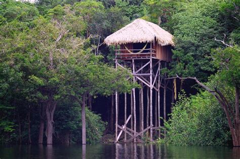 jungle hotel   amazon rainforest   choose