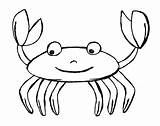 Clipart Crab Outline Animals Cliparts Sea Library sketch template