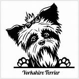 Terrier Razza Peeking Testa Isolata Illustrazione Cane sketch template