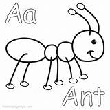 Ant Formiga Ants Colorir Desenhos Toddlers Animal Coloringfolder Formigas sketch template