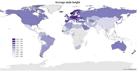Average Male And Female Height Vivid Maps