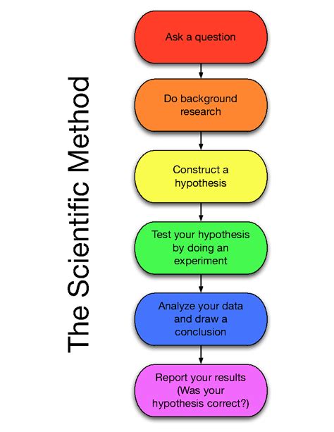 scientific method basic principles quizizz