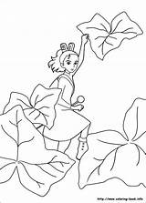 Arrietty Borrower Ghibli Arriety Diminutos Secret Tegninger Websincloud Chapardeurs Monde Coloriez Hemmelige Verden Borger Wundersame Welt Ausmalbilde Desenhos Kiki Faciles sketch template