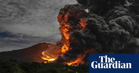 photo highlights of the day news the guardian