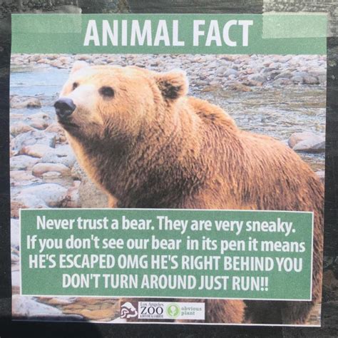 obvious plant strikes  fake animal facts   la zoo   hip