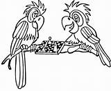 Chess Coloring Pages Choose Board sketch template