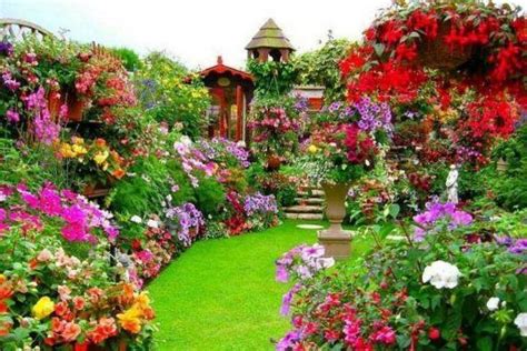 Flores Y Rincones Especiales Summer Garden Garden And Yard Backyard