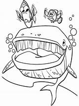 Nemo Coloring Finding Pages Marlin Whale Bruce Mouth Crush Dory Color Printable Getcolorings Queens Library Unique Clip Comments Getdrawings Coloringhome sketch template