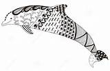 Dolphin Zentangle Coloringpagesfortoddlers sketch template