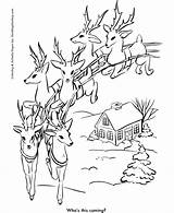 Reindeer Santa Coloring Pages Christmas Printable Drawing Sheets Print Eve Color Sleigh Claus Flight Santas Sheet Below His Red Nosed sketch template