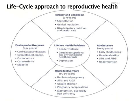 overview of reproductive health women sexual and rights
