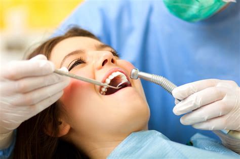 dental services  dentaquest provide mccnsultingwebfccom