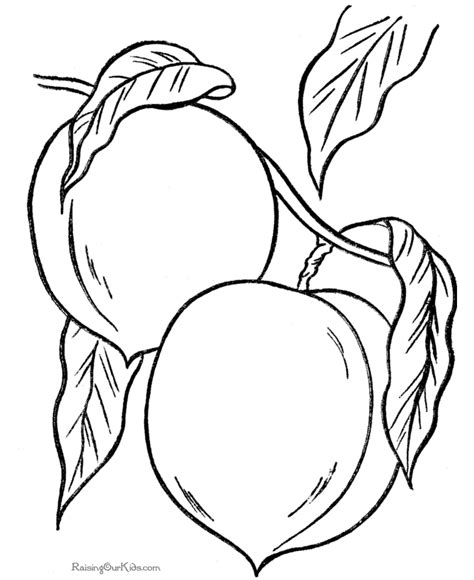 peaches coloring sheets  print  color