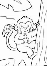 Monkey Coloring Pages Kids Climb Print Tulamama Easy sketch template