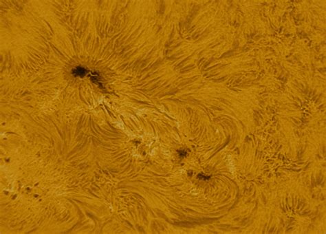 sonnenflecken   ha foto bild astrofotografie himmel