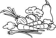 garden coloring pages  kids google search vegetable coloring