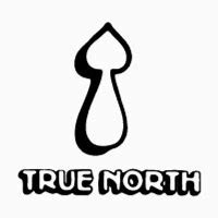 true north label releases discogs