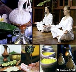 thai spas elements   thainess   thai spas pattaya mail