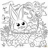 Bunny Easter Coloring Basket Pages Rabbits Printable Drawing Supercoloring sketch template