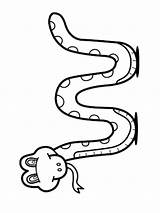 Slang Schlange Serpiente Ausmalbild Kleurplaat Kleurplaten Leukekleurplaten Schlangen Dibujosparaimprimir Ausdrucken Serpientes Besteausmalbilder Malvorlage Printen sketch template