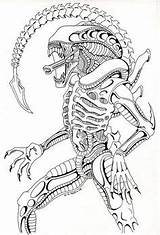Alien Xenomorph Predator Xenomorfo Lapiz Comission 1856 Draws Pixgood Espejo Colour Depredador Ission sketch template