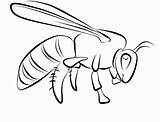 Wasp Avispas Abelha Colorir Bugs Facil Abelhas Designlooter sketch template