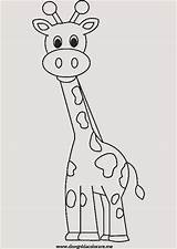 Giraffe Jirafas Tiere Malvorlagen Infantiles Faciles sketch template
