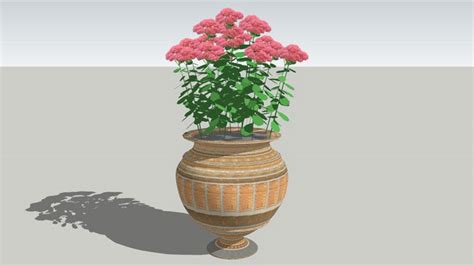sketchup components  warehouse flowers sketchup  warehouse flowers