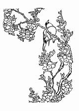 Cerisier Fleur Japon Oiseau Japonais Coloring Coloriages Uccelli Cerisiers Ccm2 Colorare Partager Ecrire Commentaire sketch template
