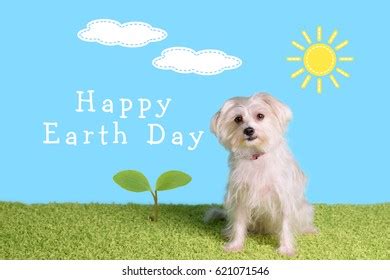 dog earth images stock  vectors shutterstock