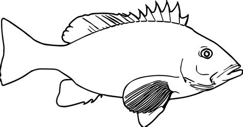 nice realistic cartoon fish coloring page sheet fish coloring page
