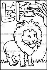 Lion Flashcard Thelearningsite sketch template
