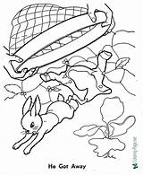 Coloring Rabbit Peter Pages Fairy sketch template