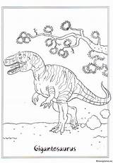 Gigantosaurus Colorare Dinosauri Dinosaurs Dinosaurus Pages Ausmalbilder Coloriage Dinosaurier Dinosaurussen Dinosaure Dino Dieren Coloriages Dinosauro Ausmalen Druku Ausmalbild Kolorowanki Malvorlagen sketch template
