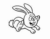 Rabbit Jumping Coloring Pages Coloringcrew Colorir Added Animals Last sketch template
