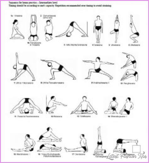 yoga asanas level   yoga gallery