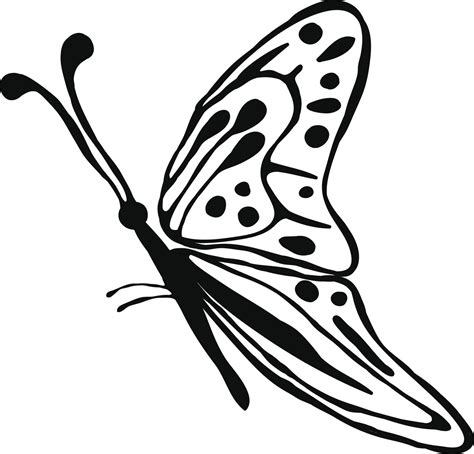 printable fun butterfly coloring pages  kids