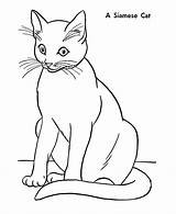 Cat Coloring Pages Cheshire Printable Kids sketch template