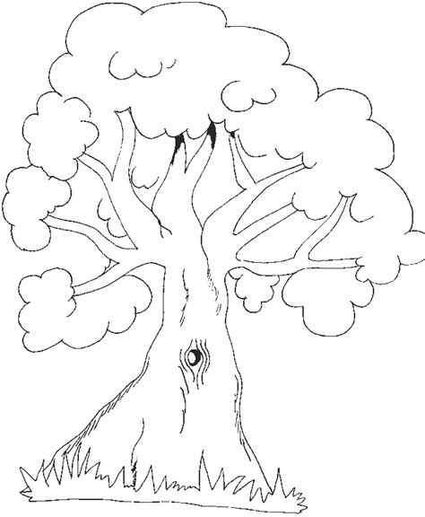 tree trunk coloring  printable coloring page coloring home