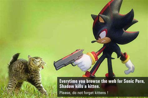 Wth Is Wrong With You Shadow Sonic Shadow And