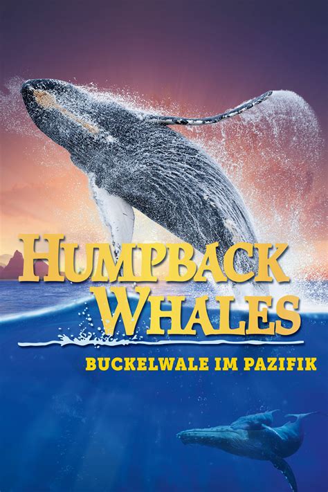humpback whales movie info and showtimes in trinidad and