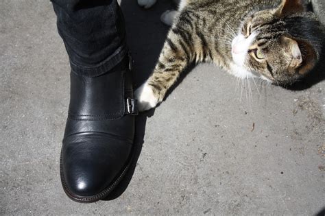beautykinguk asos buckle boots  leather