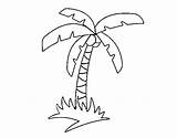 Palm Tree Coloring Tropical Coloringcrew Book sketch template