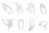 Reference Hands Sheet Drawing Sketches References sketch template