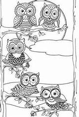 Owls Sarnat Marjorie Buho Plantillas Mandalas Buhos sketch template