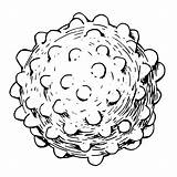 Hepatitis Virus Vector Microscope Sketch Illustration sketch template