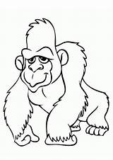 Gorilas Orangutan Printable Ausmalbilder Gorila Colorir Gorillas Gorillaz Dibujar Sketches Coloringbay Clipartmag Godzilla Letzte sketch template