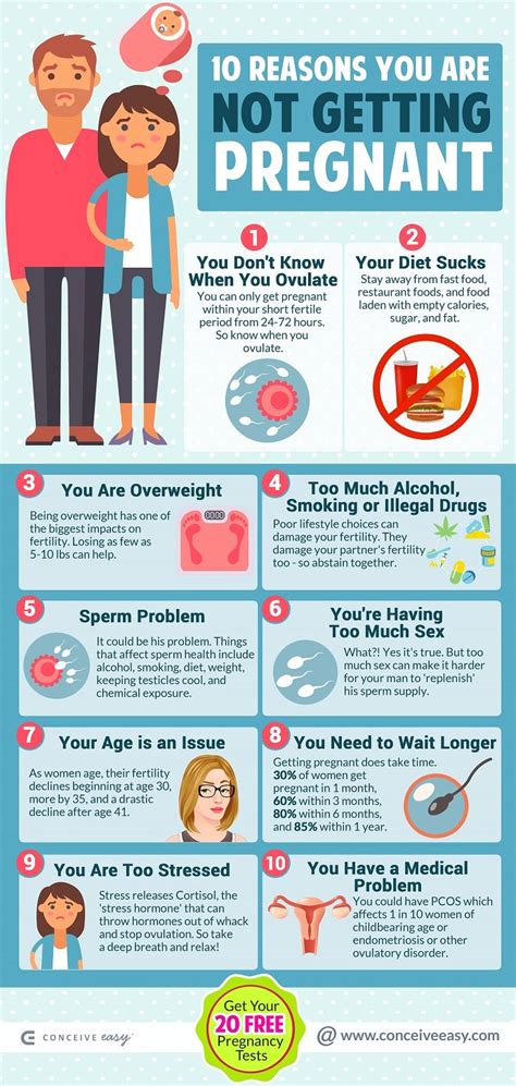 10 reasons you are not getting pregnant infographic trimesters of