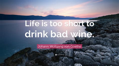 johann wolfgang von goethe quote “life is too short to